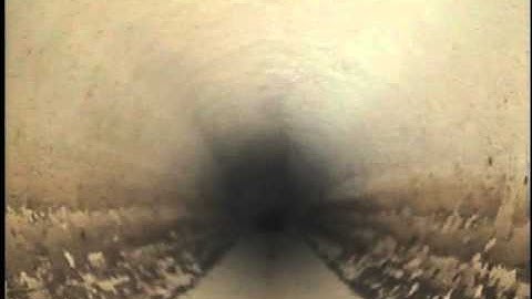 Gator Cam 4 Demonstration