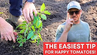 Tomatoes Love This ONE SIMPLE TRICK! by Lazy Dog Farm 22,774 views 12 days ago 9 minutes, 6 seconds