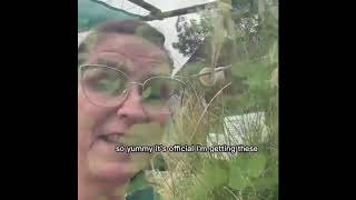 Discover Austin’s Hidden Gem: The Natural Gardener with Realtor Simone Gonzalez with JPAR 
