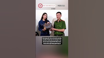 Bắt tạm giam Nguyễn Lâm Thái, người trộm túi xách của hoa hậu Mexico tại Đà Lạt| THƯ VIỆN PHÁP LUẬT