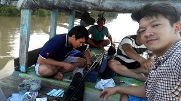 Câu cá đứa trên sông cửa tiểu Gò Công- Tiền Giang