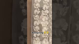 Conjuring Cat version #shorts #cat Information