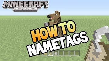 Minecraft (Xbox 360/PS3) - TU19 UPDATE! - HOW TO USE NAMETAGS - TUTORIAL (Guide)