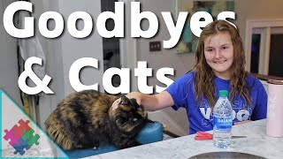 Understanding Leaving and Cats