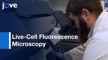 Subcellular Protein Localization & Cell Morphology Changes (Bacteria)