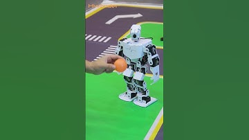 No goalkeeper stands a chance against the unstoppable Robotic Messi, TonyPi⚽️🥅👉https://bit.ly/TonyPi