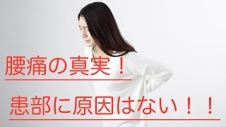 【腰痛 治し方】腰痛の真実！患部に原因はない！！