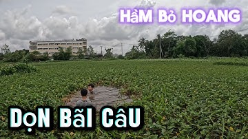 Câu đài tự nhiên ở hầm bỏ hoang nằm ở cồn Khương, dọn bãi câu siêu đẹp