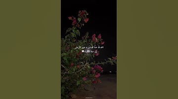 تلاوات خاشعة لجميع القرآء على قناة تلاوات خاشعة وتلاوات هادئه #تلاوات #خاشعة #قرآن #تلاوات_هادئه(1)