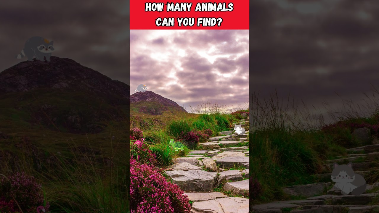 find hidden animals | hidden objects challenge 