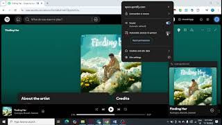 How To Hide MiniPlayer At The Right Bottom For Spotify Miniplayer? (Webapp Version)