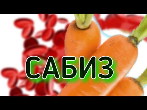 Video: Сабиздин халвасын кантип бышыруу керек