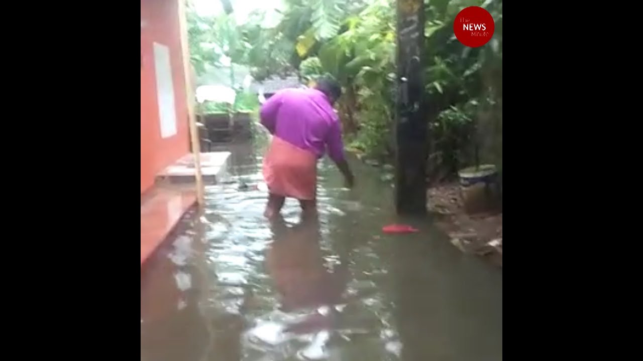 Kochi city inundated after rainfall, heavy downpour continues across Kerala