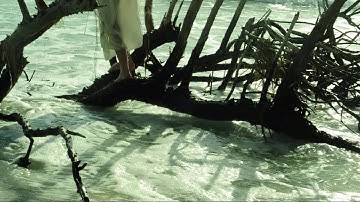 "Daydreaming (alt. strings)" Radiohead Vignette