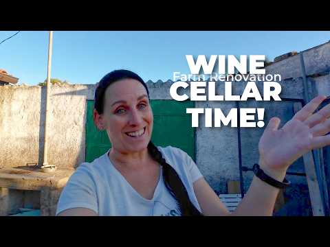 Starting the Wine Cellar Build | Farm Life & Renovations in Portugal #148