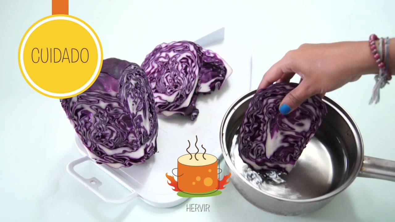 Experimentos Repollo: ácido o alcalino - YouTube