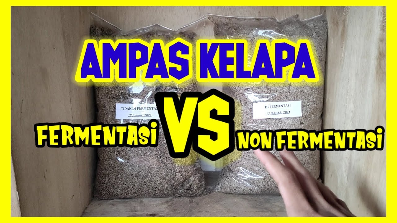 Bagaikan Kopi Dan Susu | Perbedaan Ampas Kelapa Hasil Fermentasi Dan Non Fermentasi