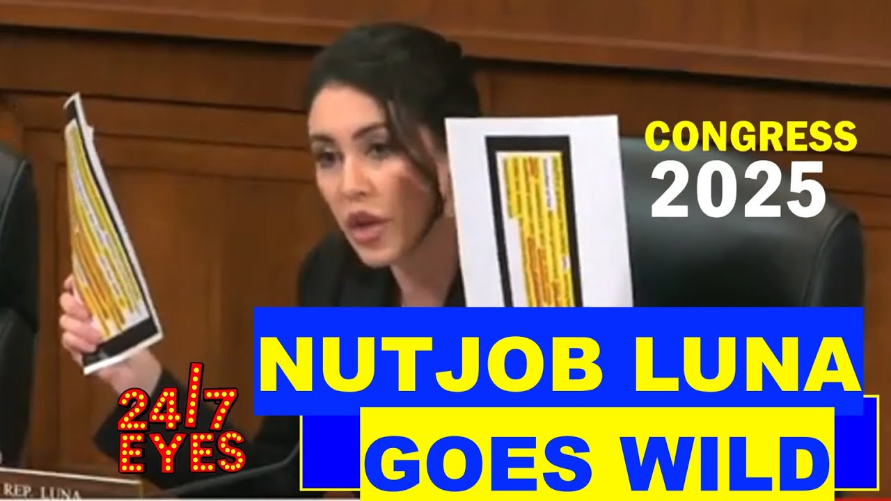 USAID HEARING GOES WILD 'I Find This Disturbing':NUJOB Luna Clashes With Witness