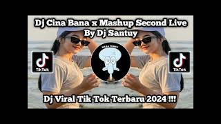 Ini Yang Kalian Cari Dj Cina Bana  Bass Viral D Tik Tok Selow dj djremikterbaru