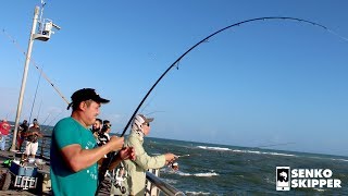 Pier Fishing: Simple fishing rig catches HUGE FISH!