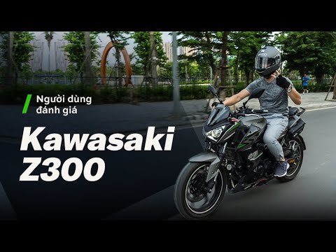 BMS 2015 Kawasaki Z300 Mô tô NakedBike 300 phân khối giá Mỹ khoảng  6500 USD