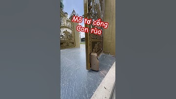 #congtudong  mô tơ cổng con rùa