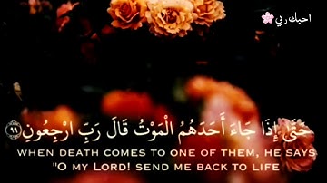 اروع حالات واتساب واستغرام قصرة ||تلاوة تريح القلب❤😍 بصوت انس شهاب💙