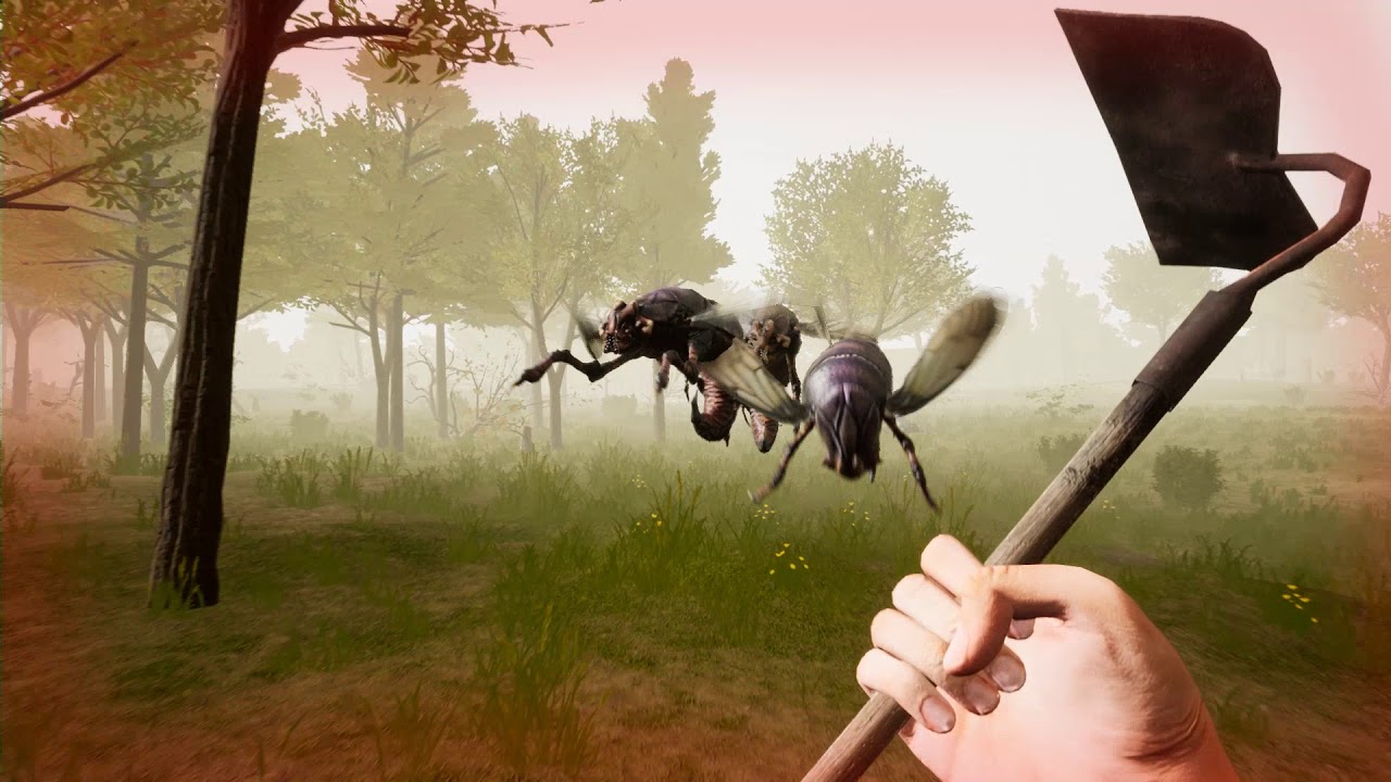 What is Forest Woodman?