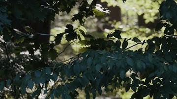 Mother-32 Dark Generative Drone