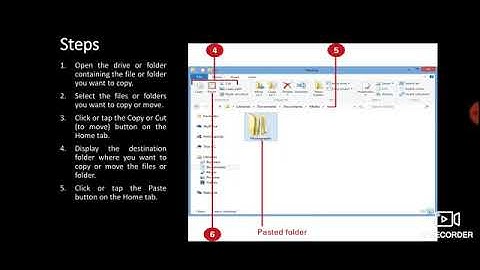 Grade 6 ICSE Computer Chapter 2 File Management Data Organisation