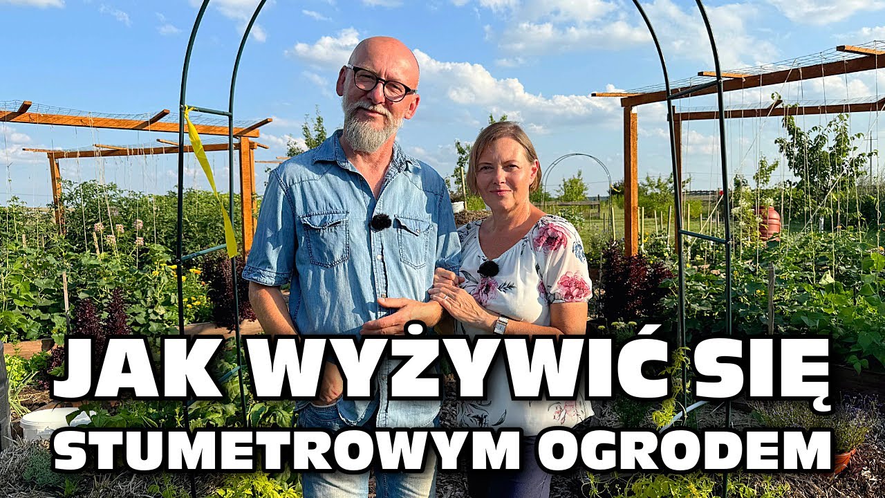 Jak wyżywić się z 100 m² ogrodu 🌱 Permakultura TV – Miłość i Ocet, Krzysztof i Małgorzata Lorenz