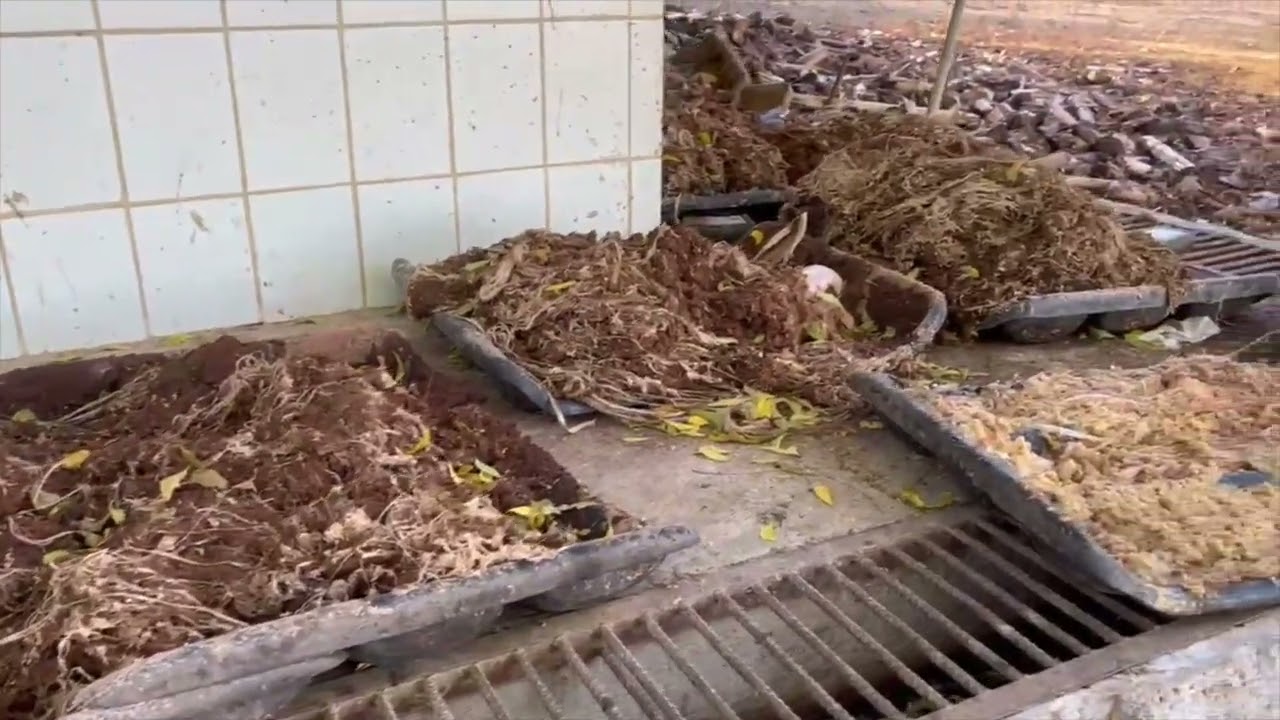 Banana Biomass in Agriculture