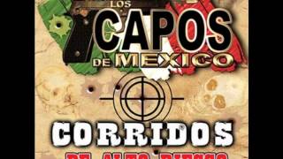 Video thumbnail of "Los Capos De Mexico- El Chepe Terron"