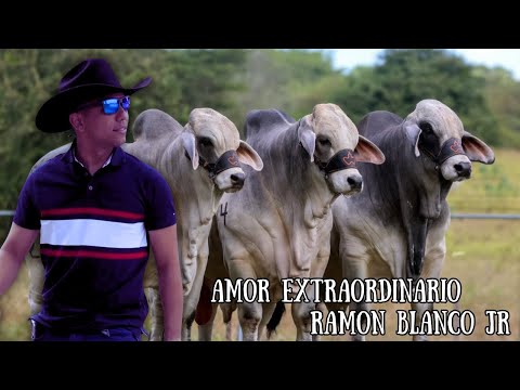 Ramon Blanco Jr - Amor Extraordinario (Video Audio Oficial)