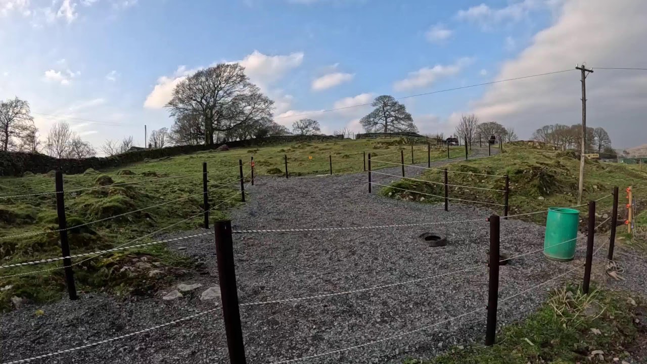 Nero 🌈 & Oebe 🦙 cam