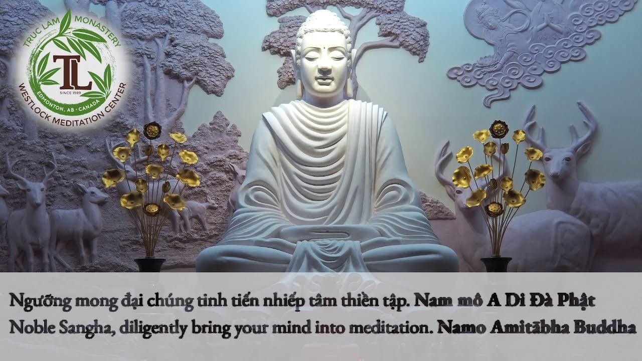 Trì Tụng Kinh Địa Tạng Bồ Tát Bổn Nguyện (7:30pm - Jan 15, 2026 - Trúc Lâm)