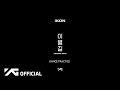 iKON - '이별길(GOODBYE ROAD)' DANCE PRACTICE VIDEO