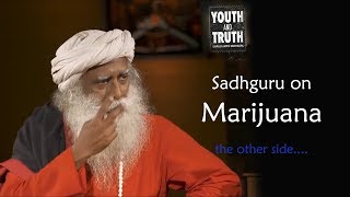 Sadhguru on Marijuana