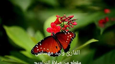 🔹لقد كان في يوسف وإخوته آيات للسآئلين 🔹 مقطع متميز للقارئ الجزائري وليد مهساس//Walid Mhassas