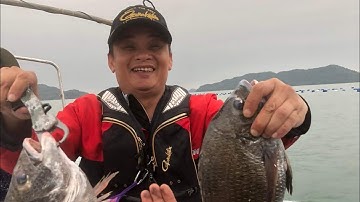 Đi câu cá Tráp tại Tiên Yên P1