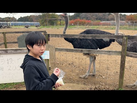 Toy Kids☆トイキッズ - YouTube