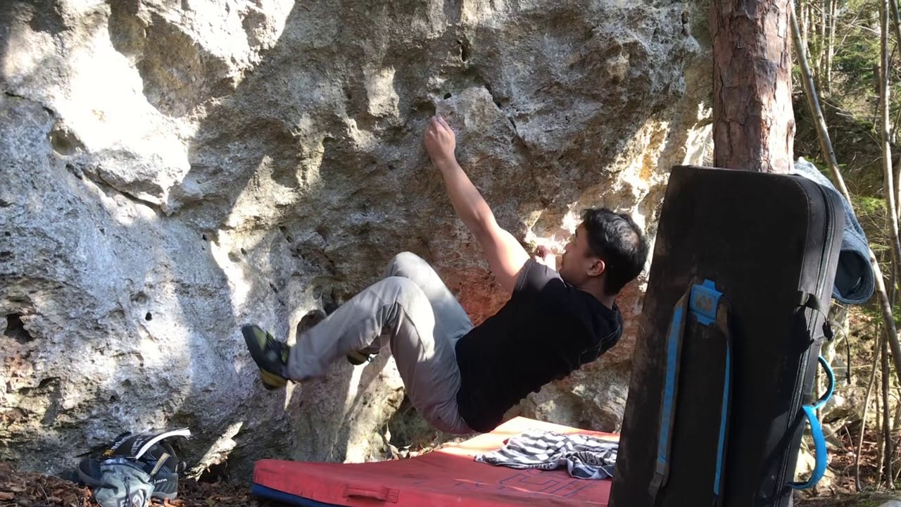 Origins of species (Fb 6b/V4, Kleine Welle, Scheiblingkirchen)