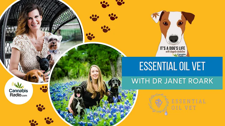 Essential Oil Vet with Dr. Janet Roark