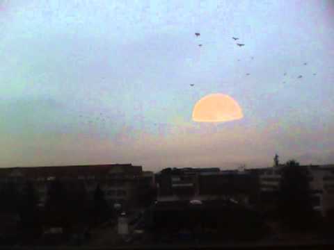 Video: UFO-Jäger Haben Mehrere Außerirdische Lebensräume 