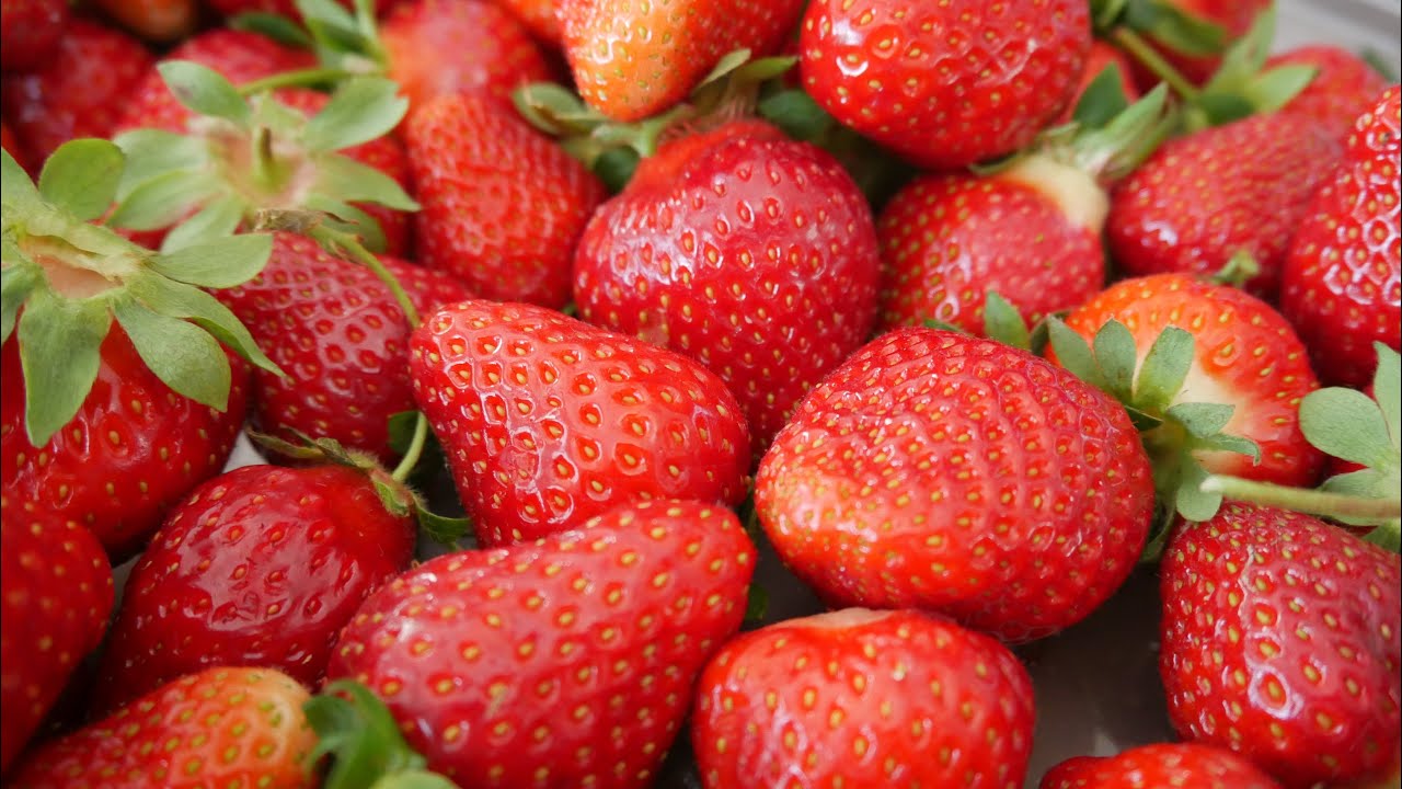 Strawberry picking in Germany YouTube