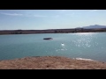 Sport Dog Training - planting water blinds