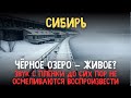 ЗАГАДКА ЧЕРНОГО ОЗЕРА: Что Поглотило ЭКИПАЖ ГИДРОСТАНЦИИ?