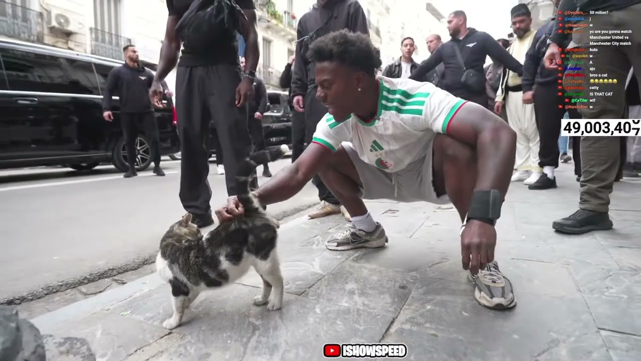 iShowSpeed Finds A CUTE Cat In Algeria 🐱🇩🇿