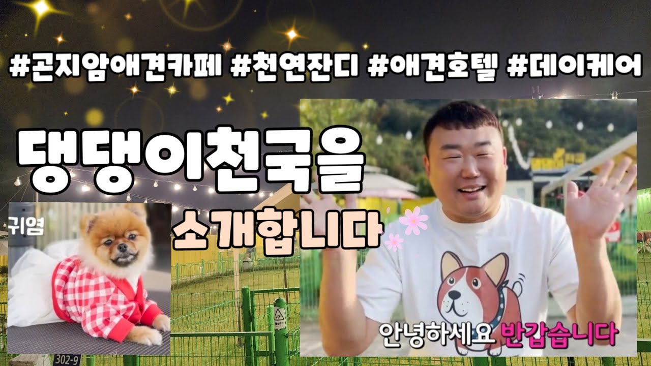 원더총각이 뛸놀다온 댕댕이천국 애견카페!! [천연잔디/데이케어/애견호텔] 모든게 가능한 댕댕이들의 놀이터^^
