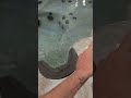 Artesian spa Air Lock, using diverter valve to clear it